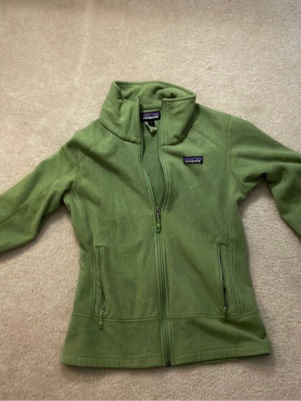 Patagonia Light Green Full-Zip Teddy Fleece Jacket
